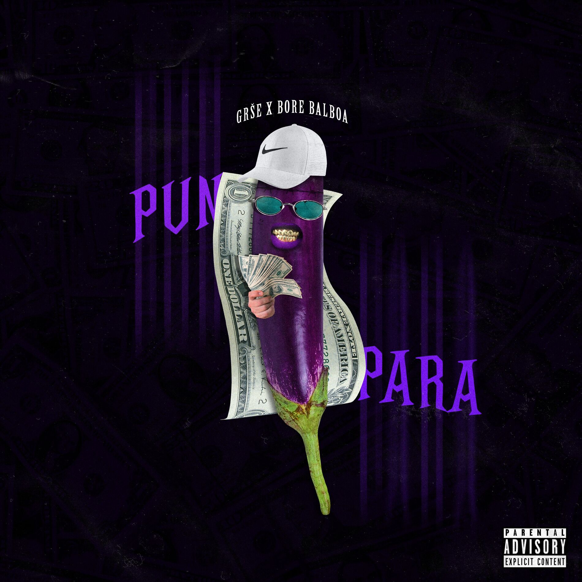 Album cover of Pun kurac para
