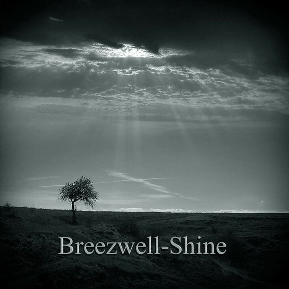 Picture of Shine