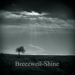 Cover of Shine