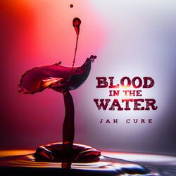 Cover of Blood in the Water