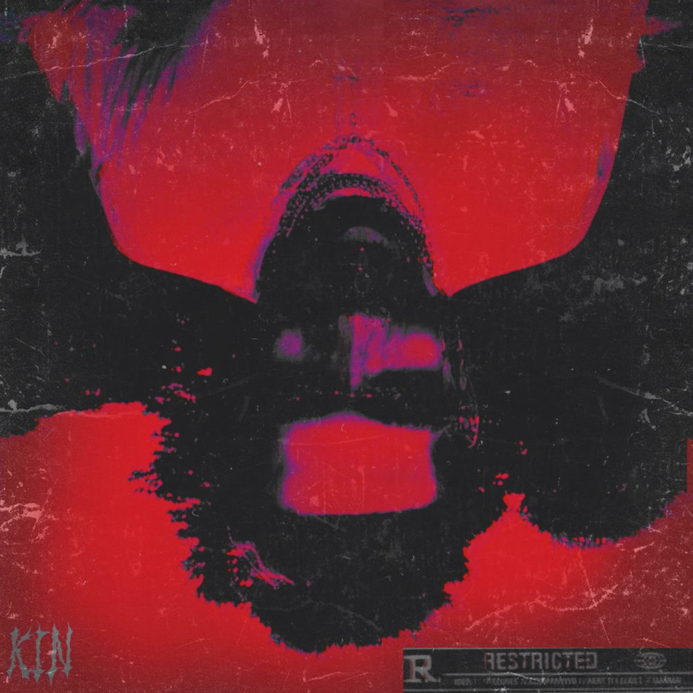 Album artwork for palefacetoby by KIN