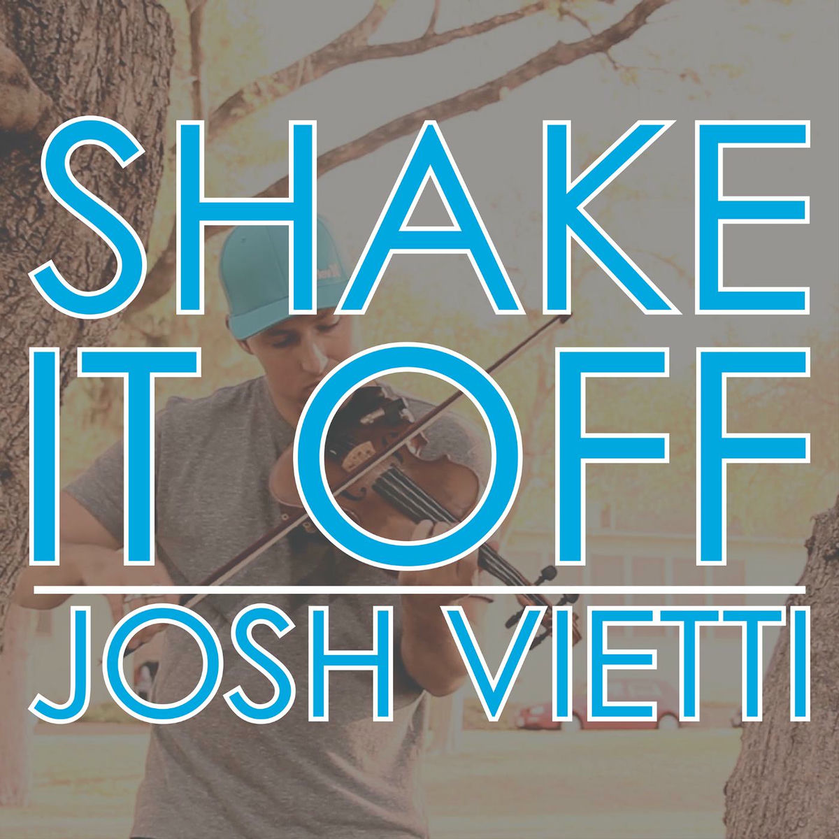 Album cover of Shake It Off