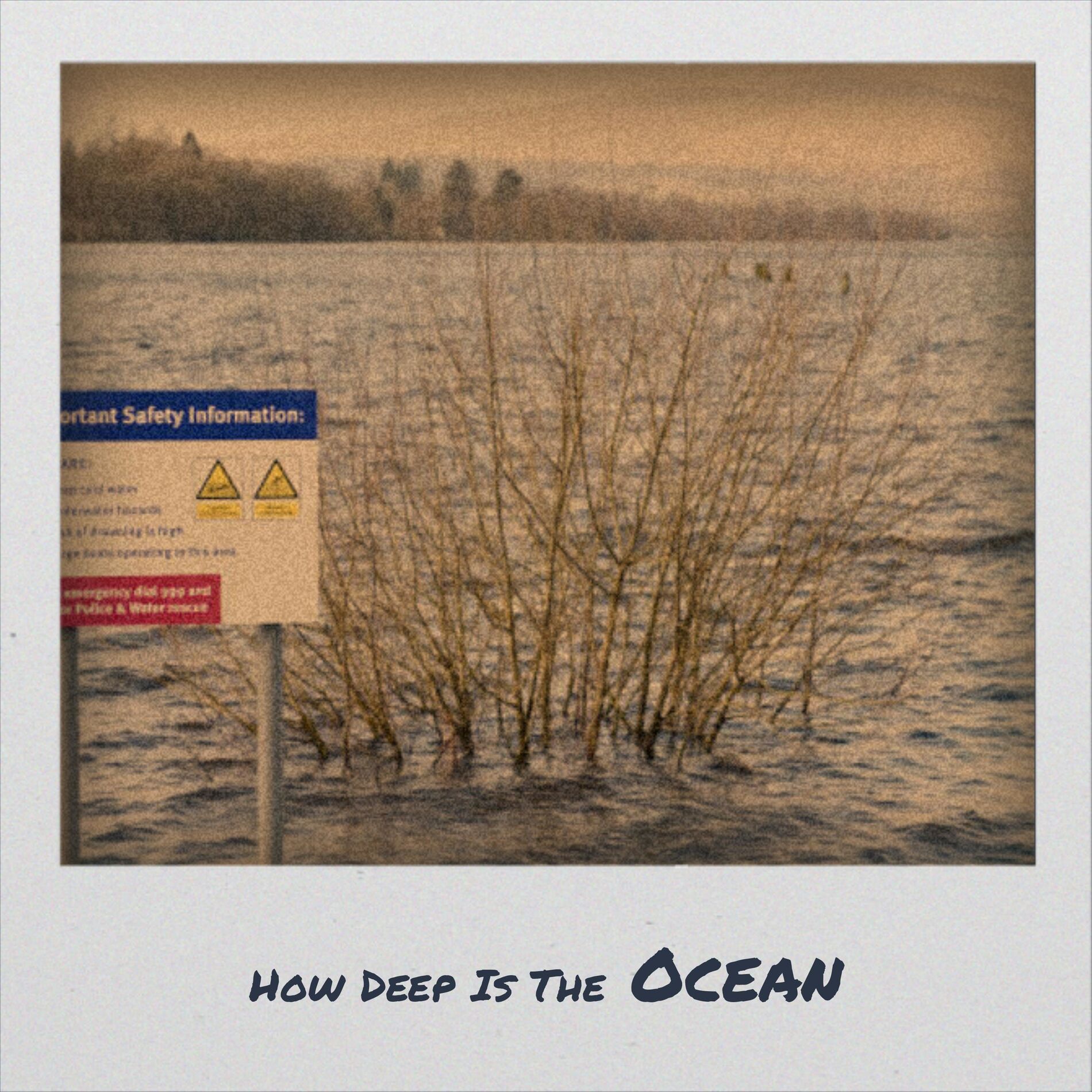 Album cover of How Deep Is The Ocean