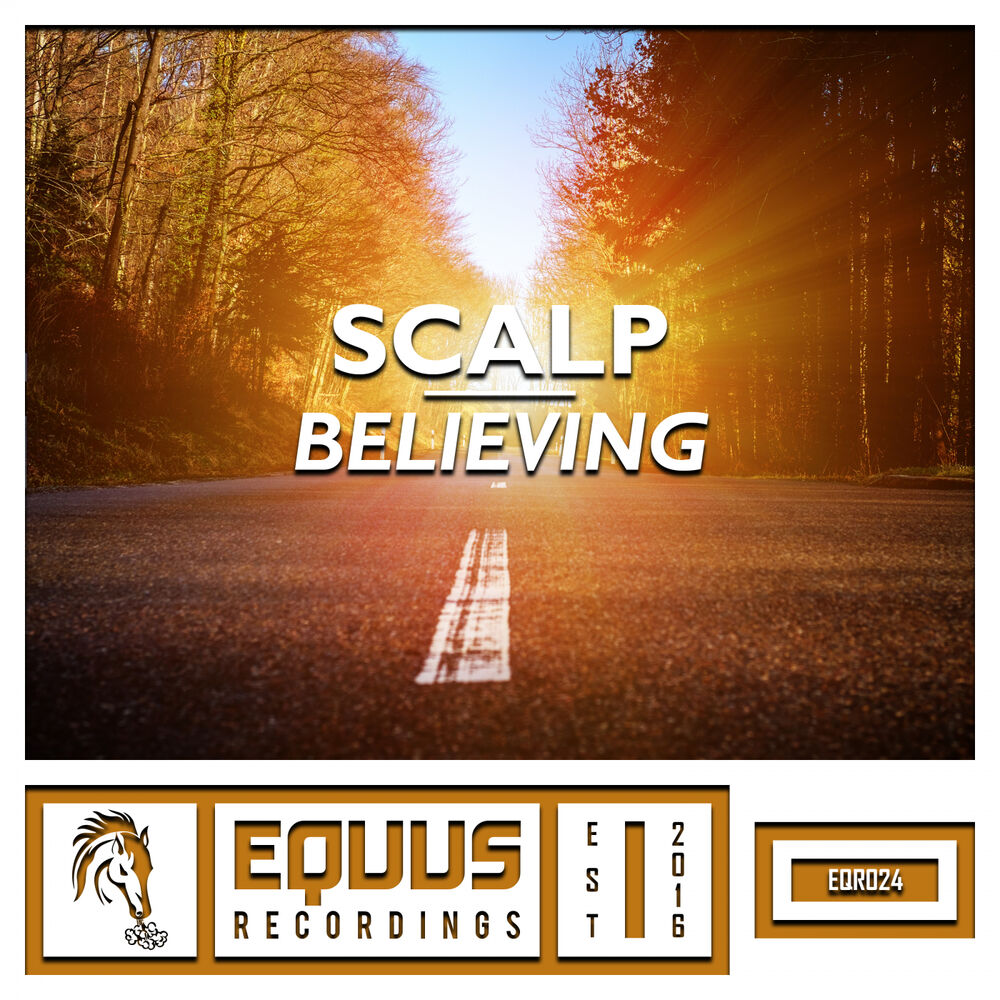Picture of Believing