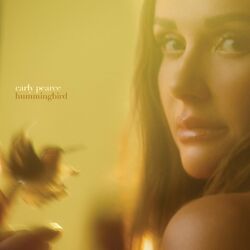 Cover of hummingbird