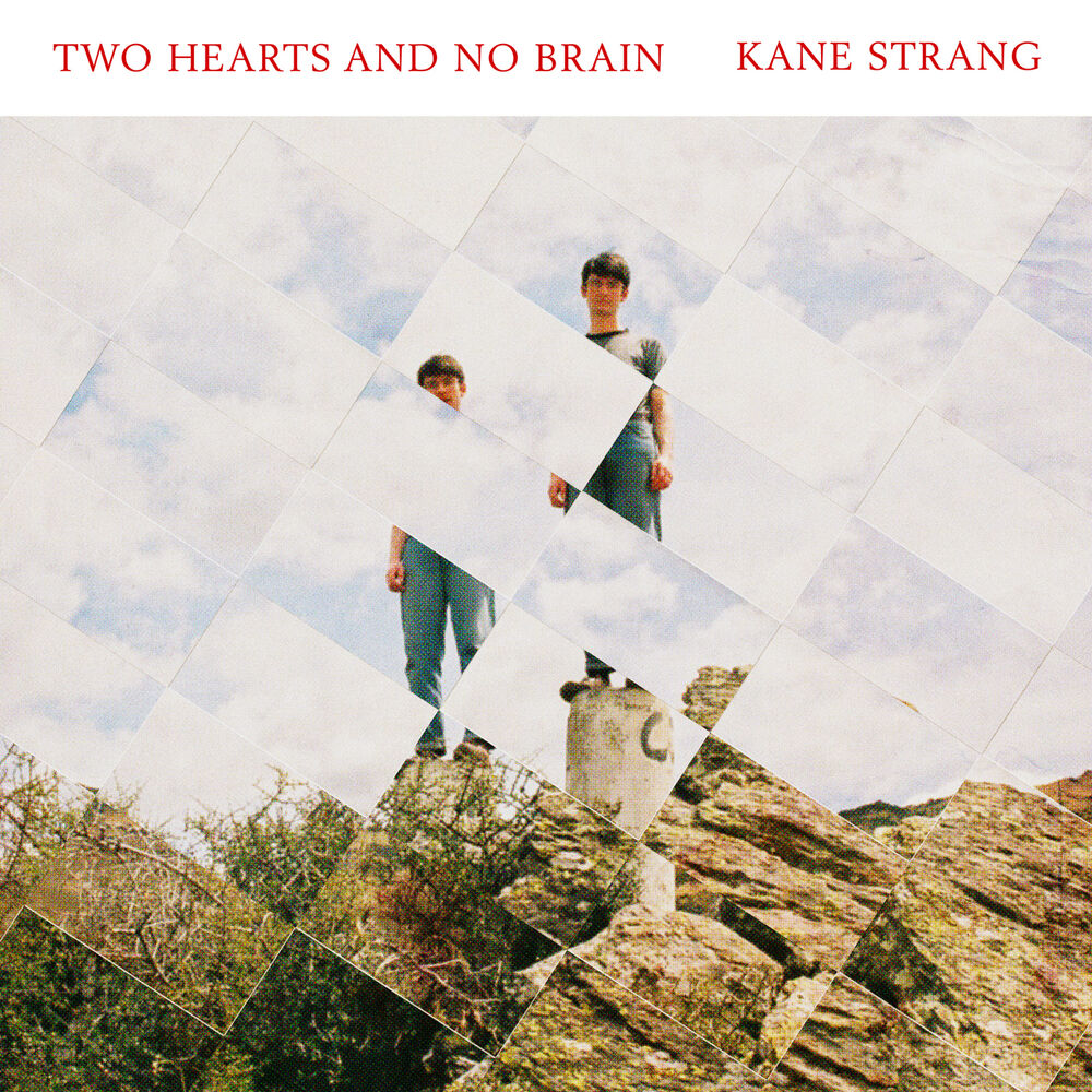 Picture of Two Hearts and No Brain