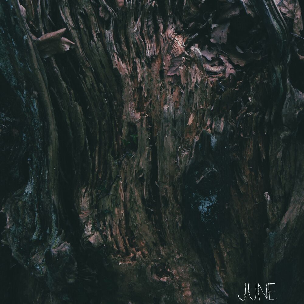 Picture of June