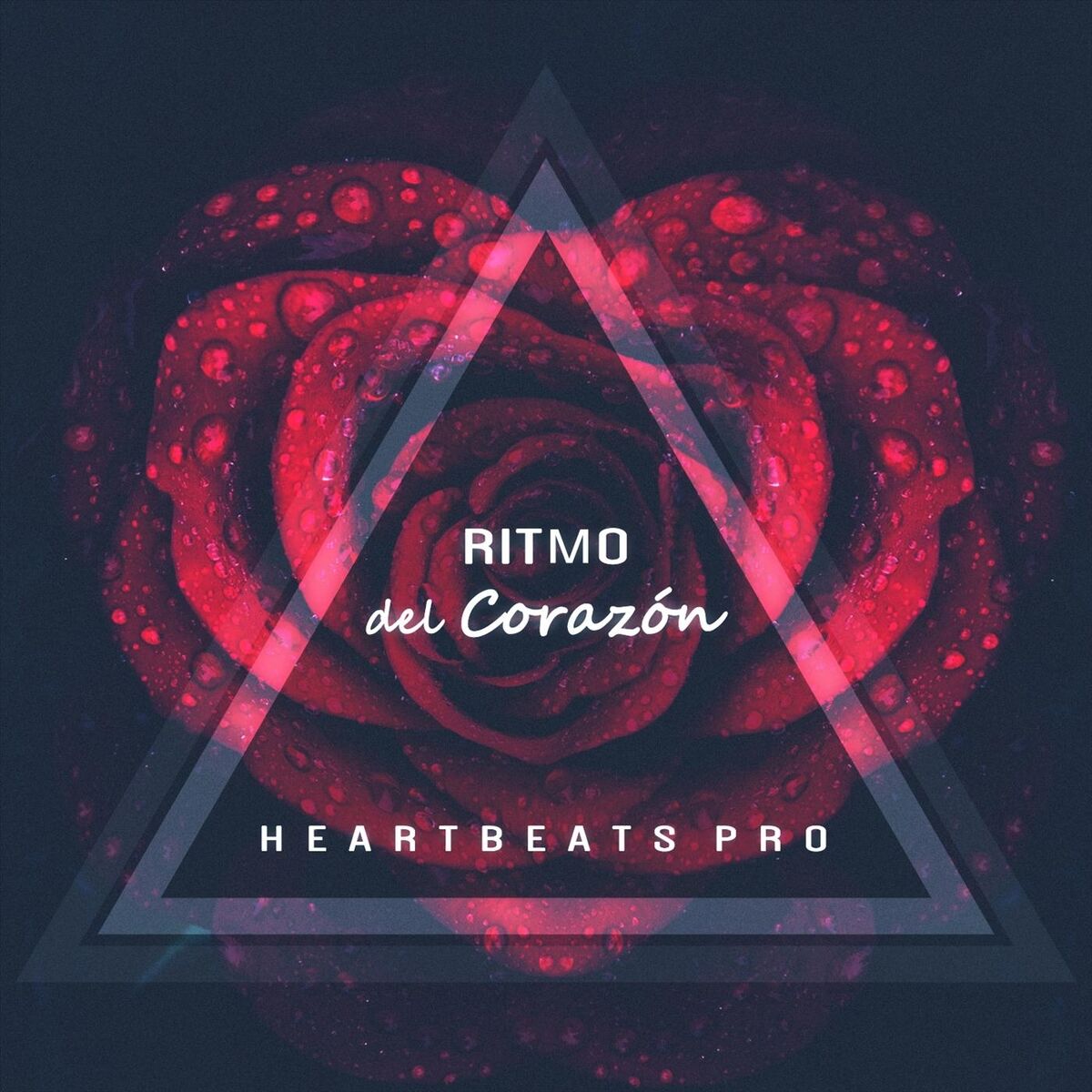 Album cover of Ritmo Del Corazón