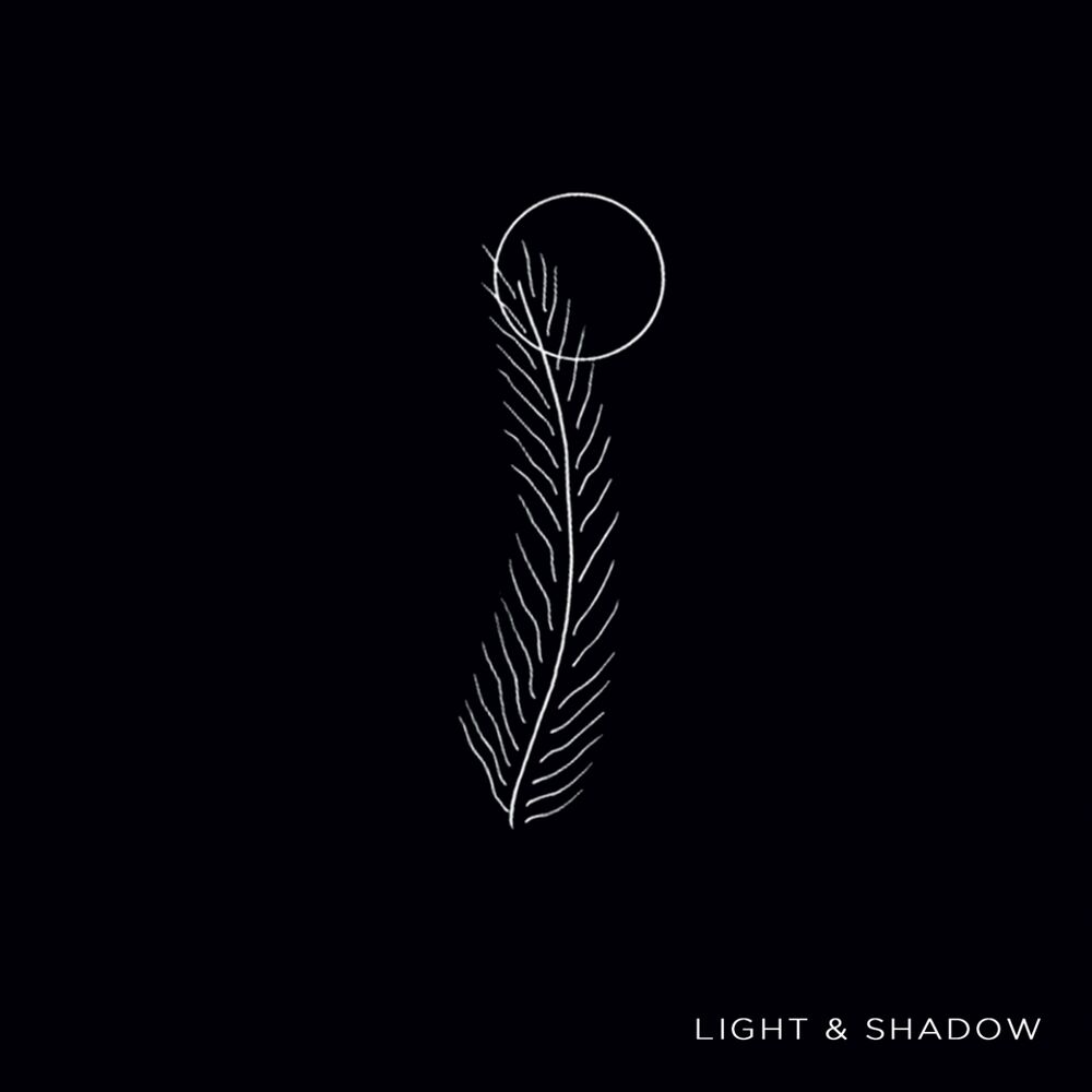 Picture of Light & Shadow