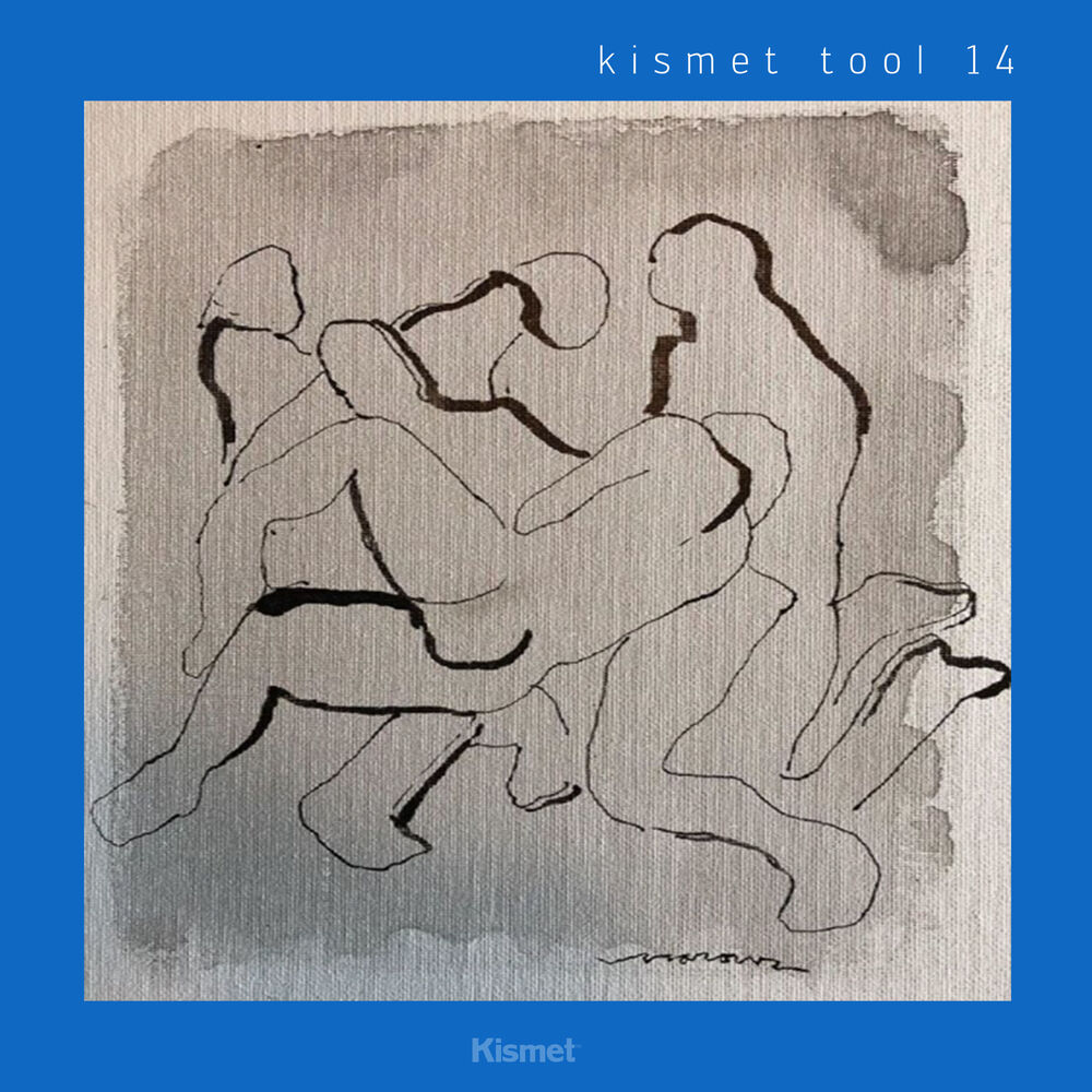 Picture of Kismet_tool_14