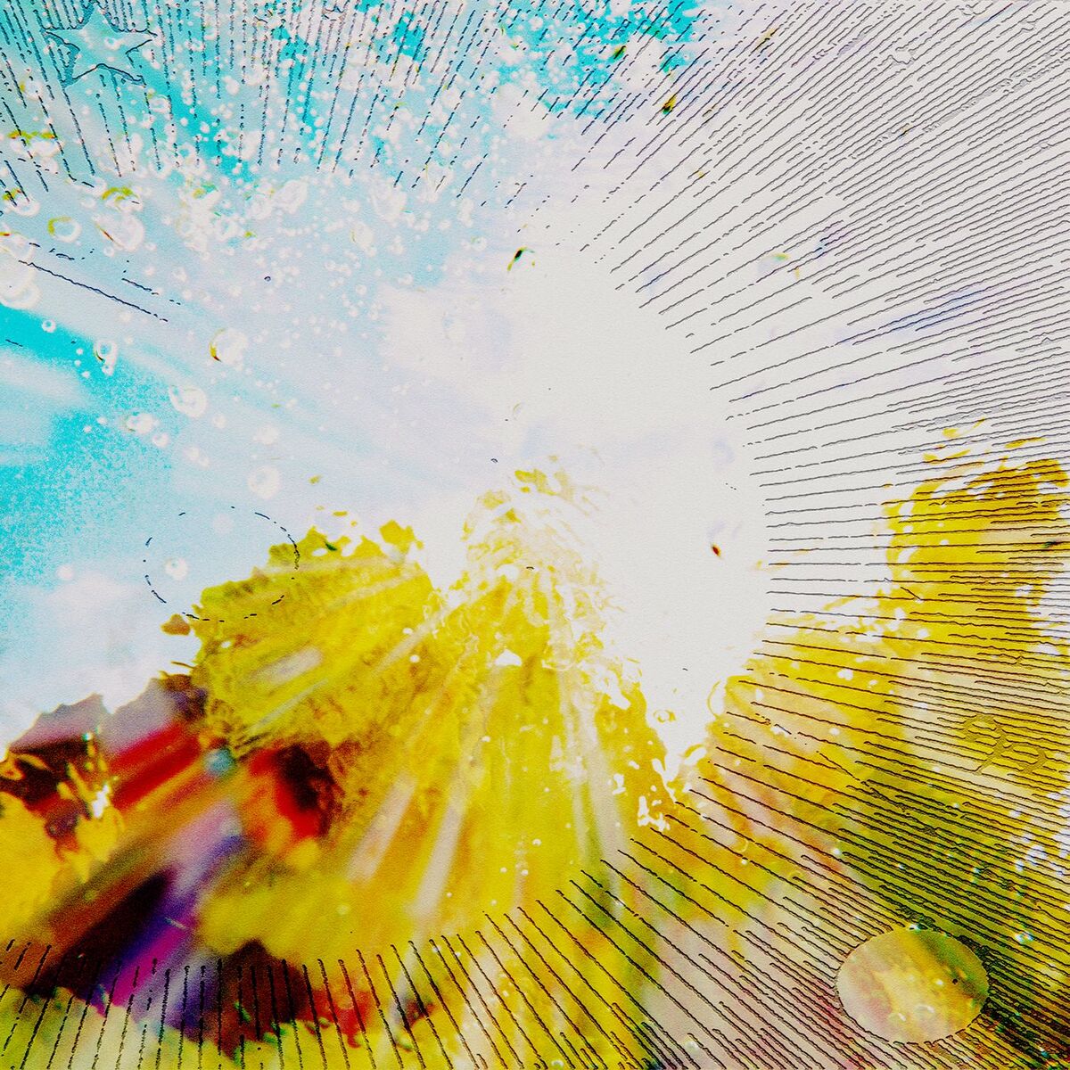 Album cover of Slipper imp and shakaerator