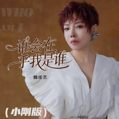 谁会在乎我是谁 (小刚版)