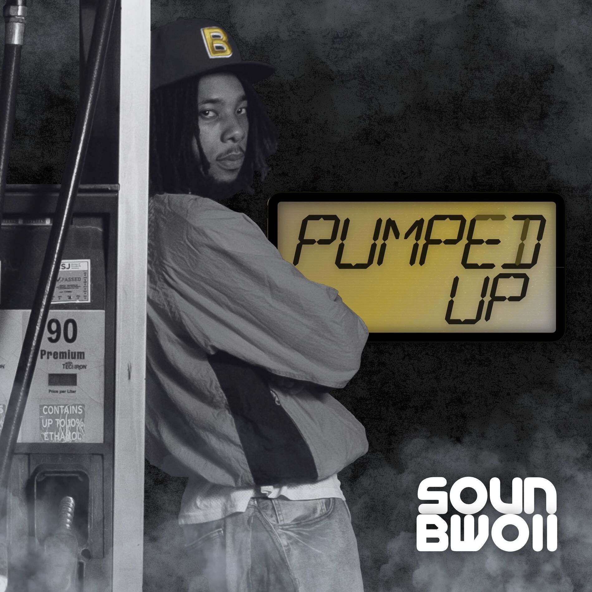 Album cover of Pumped Up