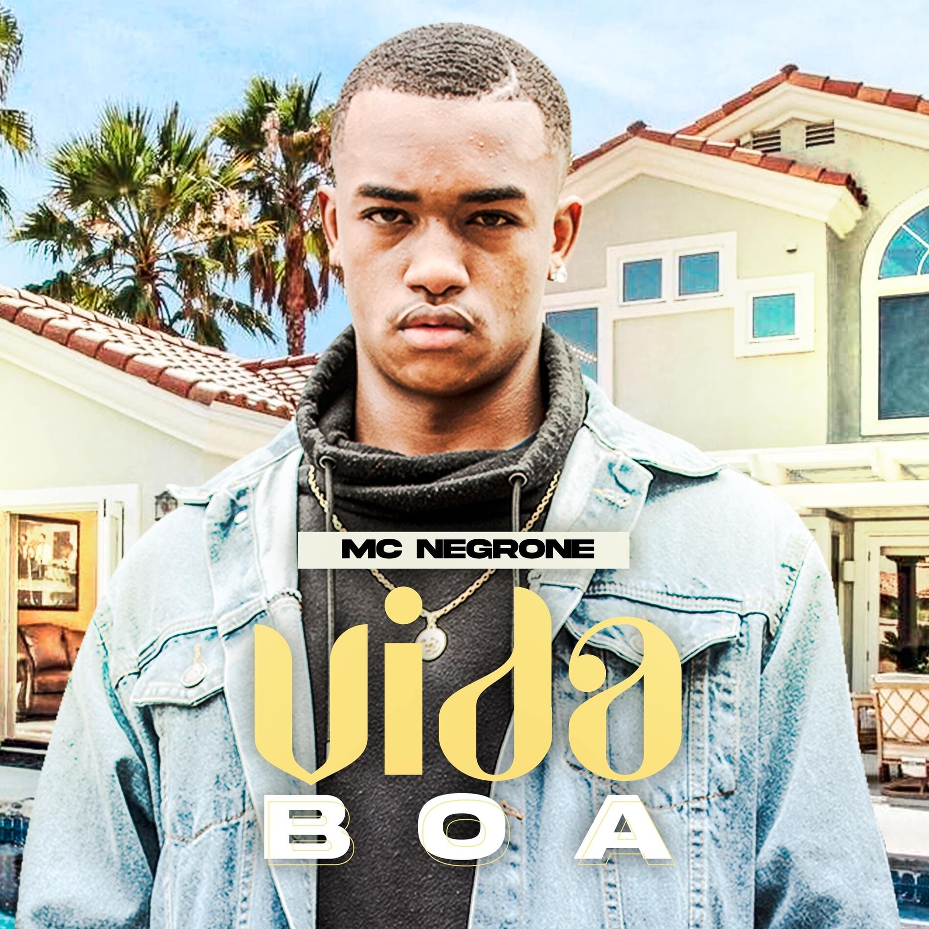 Album cover of Vida Boa