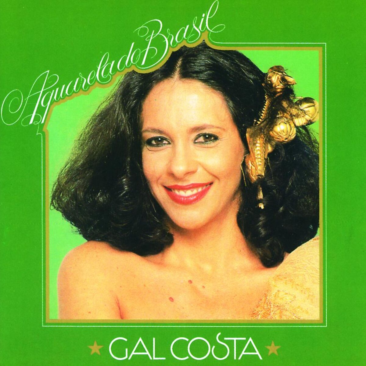Album cover of Aquarela Do Brasil