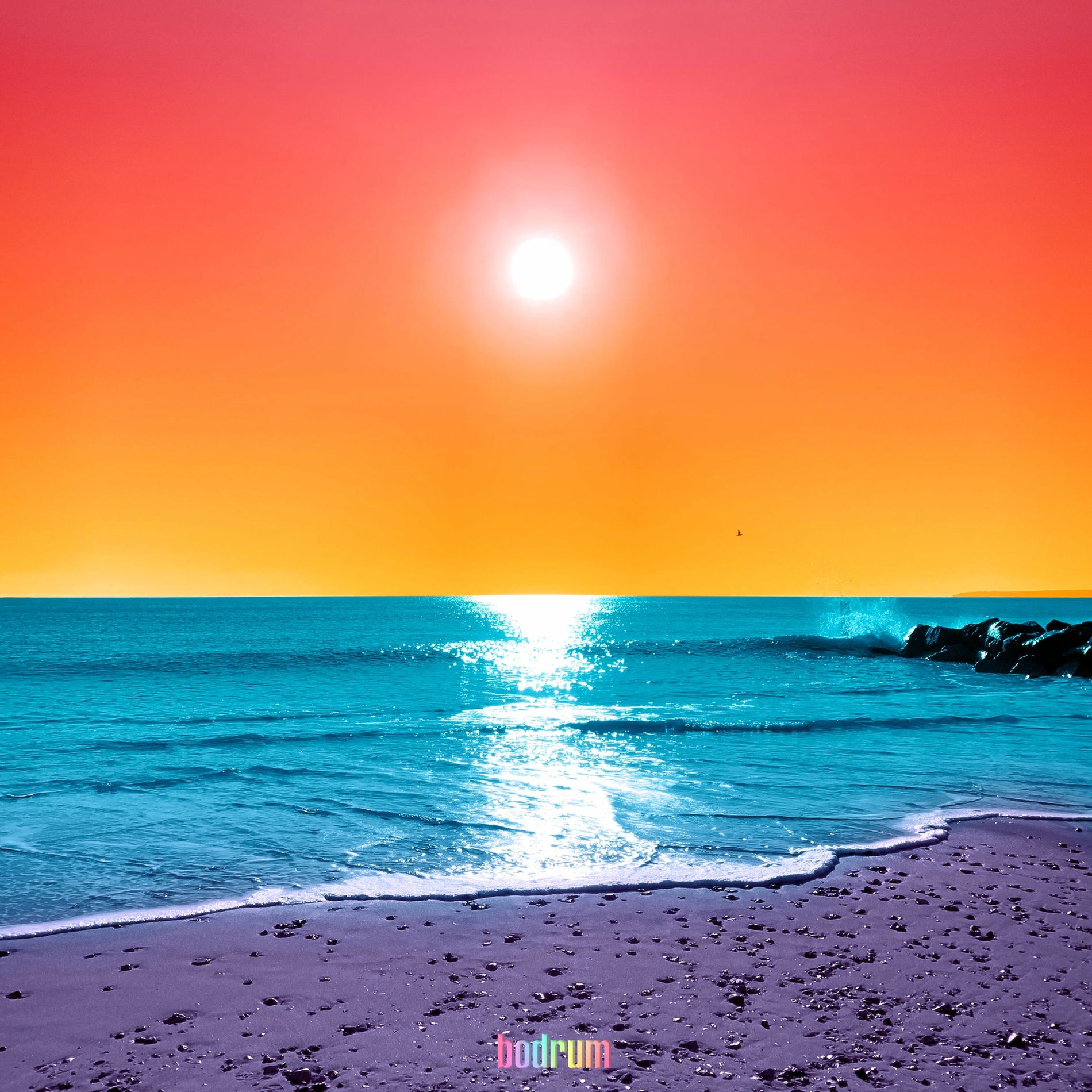Album cover of Bodrum
