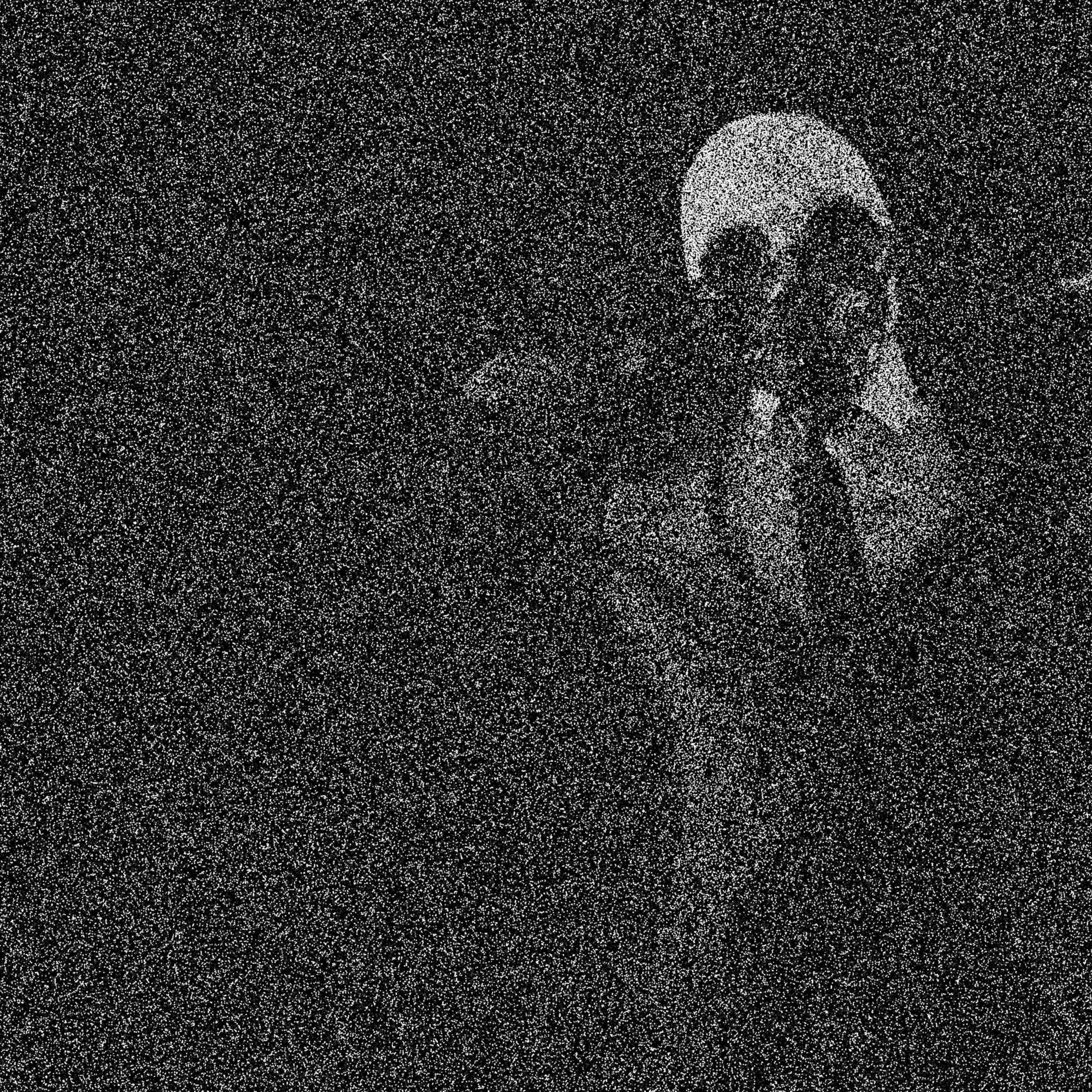Album cover of Armed to the Teeth