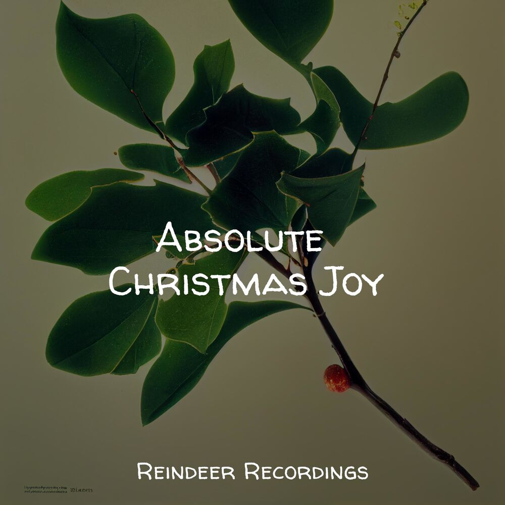 Picture of Absolute Christmas Joy