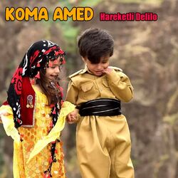 Cover of Hareketli Delilo