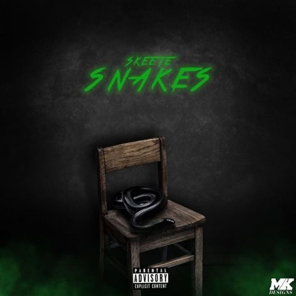 Picture of Snakes