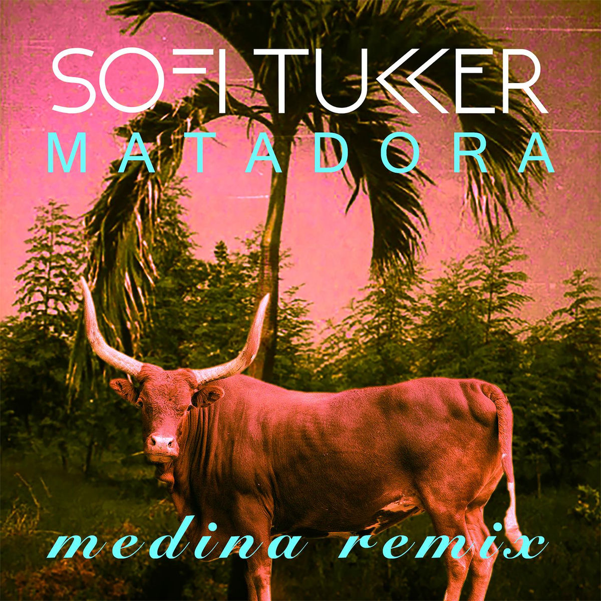 Album cover of Matadora