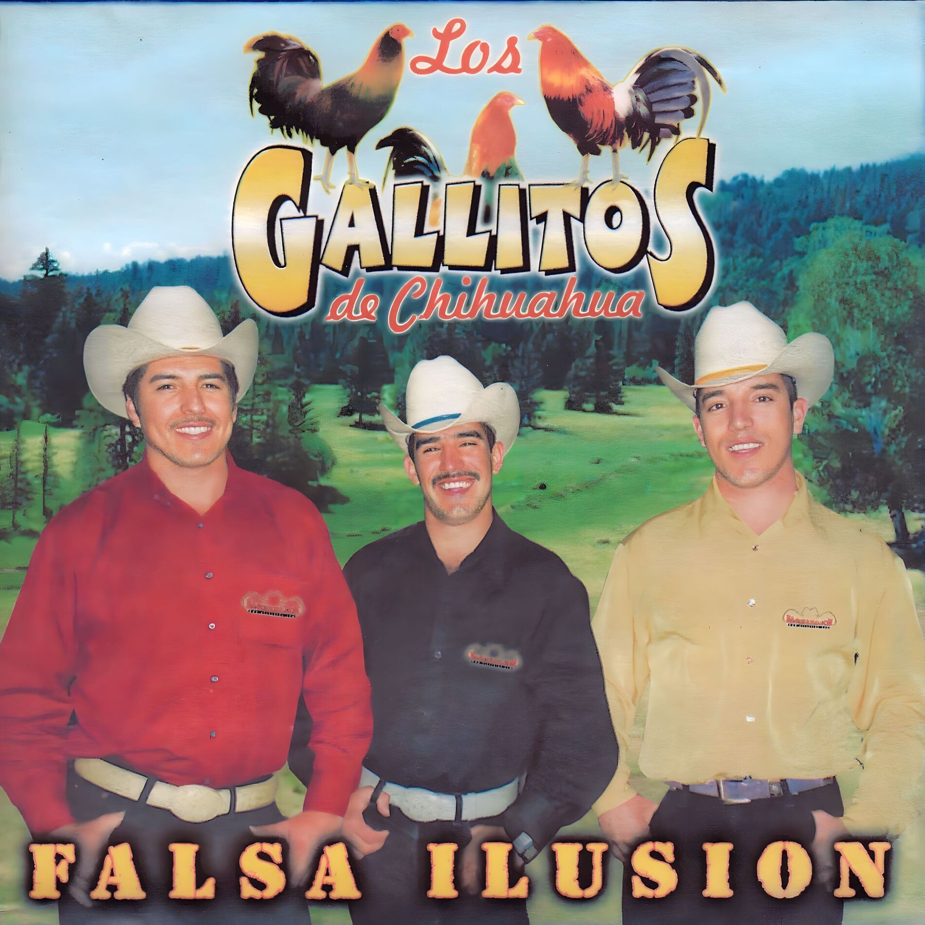 Album cover of Falsa Ilusion