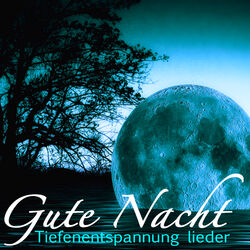 Cover of Gute Nacht mit Musik - Schließen Sie die Augen mit Tiefenentspannungslieder für Tiefen Schlaf Lieder