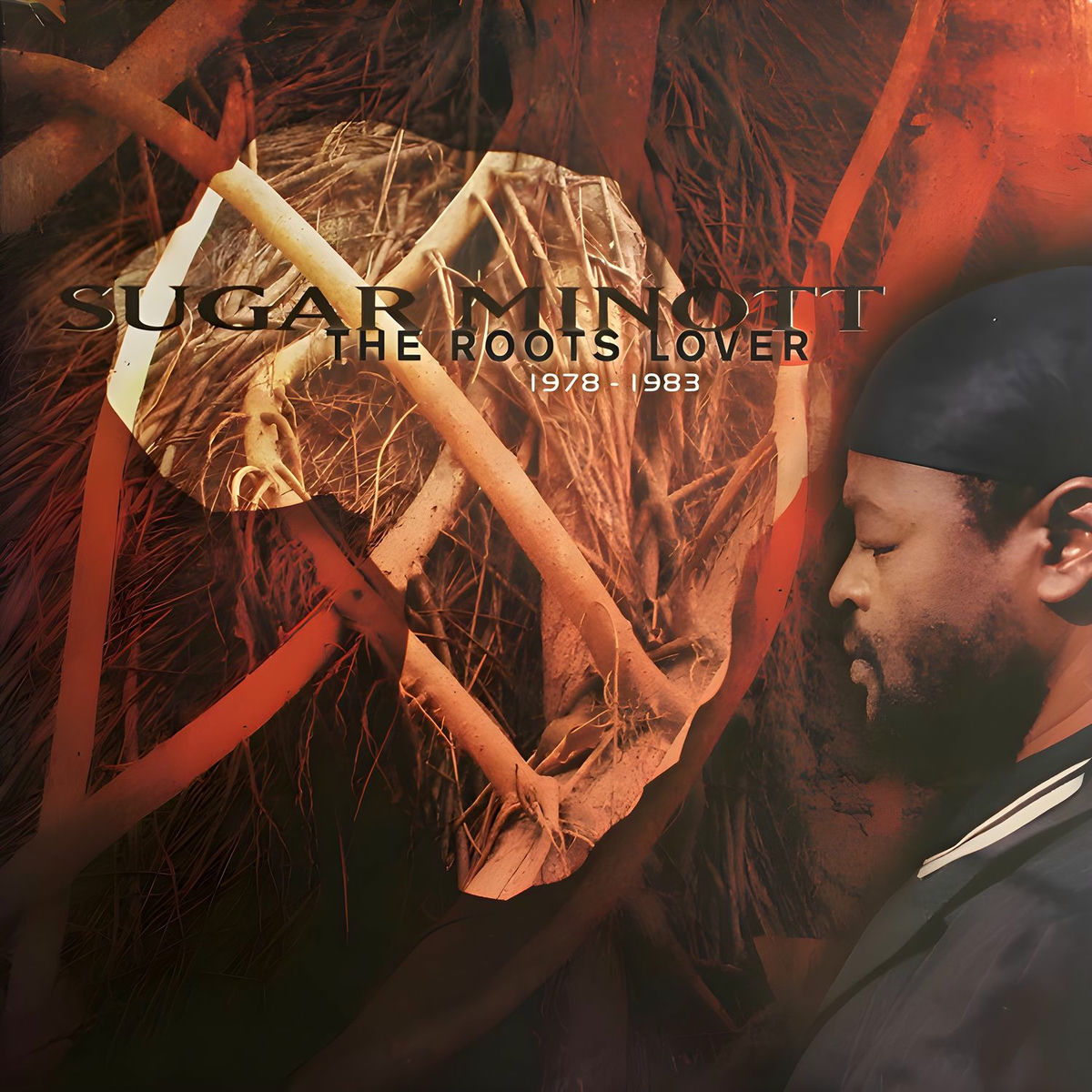 Album cover of The Roots Lover 1978 - 1983