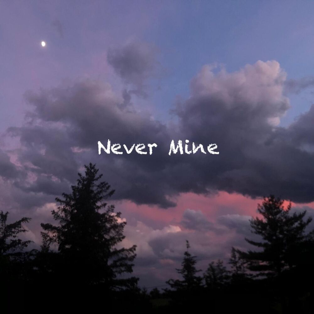 Picture of Never Mine