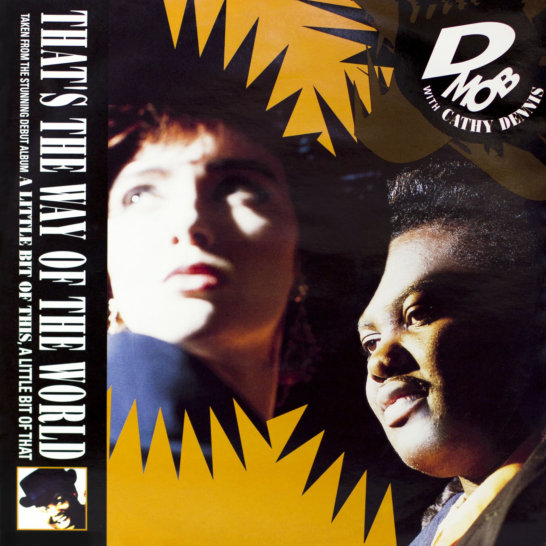 Album cover of That's The Way of The World (with Cathy Dennis)