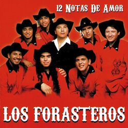 Cover of 12 Notas de Amor