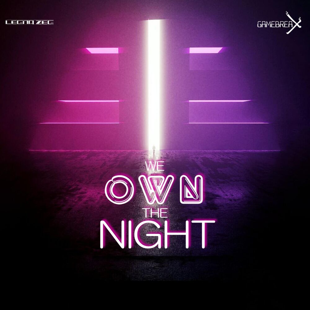 Picture of We Own the Night (feat. Legna Zeg)