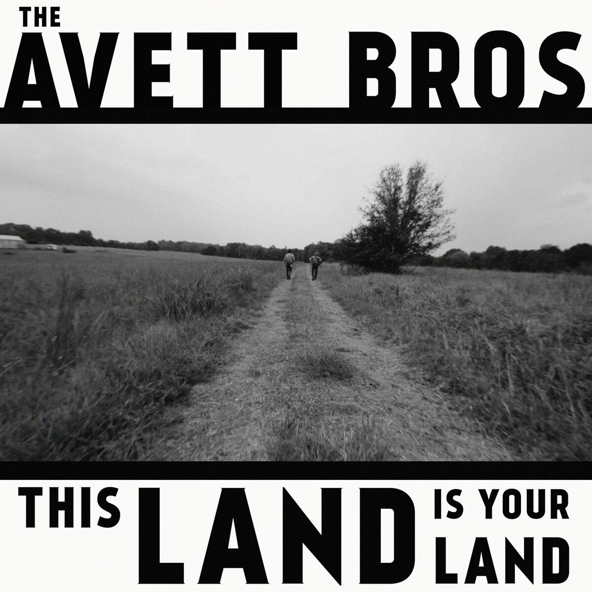 Album cover of This Land Is Your Land