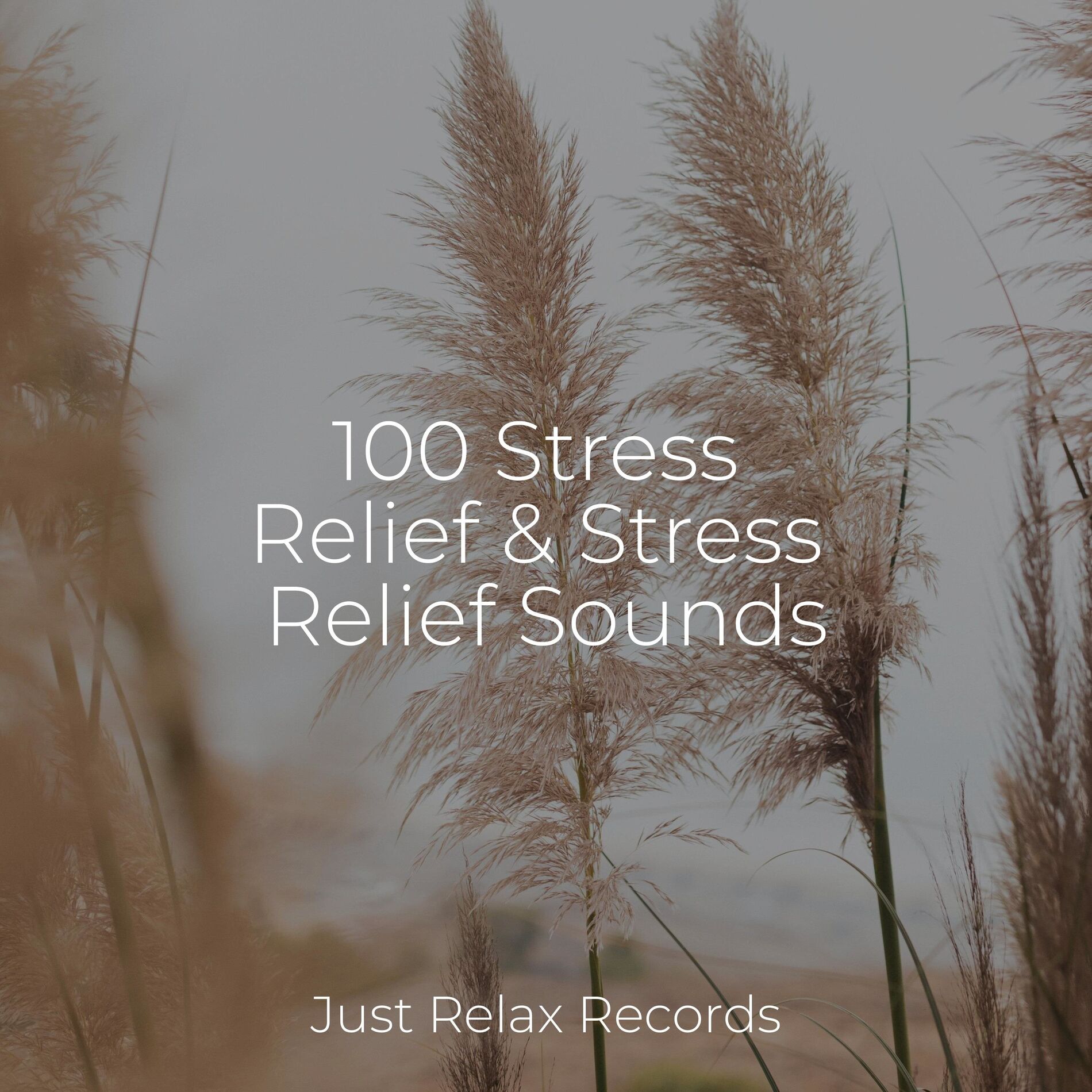 Album cover of 100 Stress Relief & Stress Relief Sounds