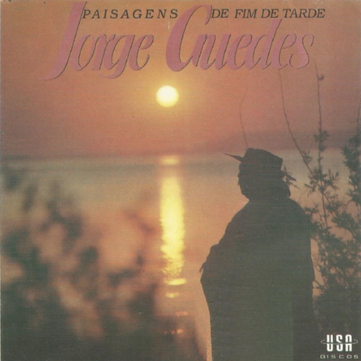 Album cover of PAISAGENS DE FIM DE TARDE