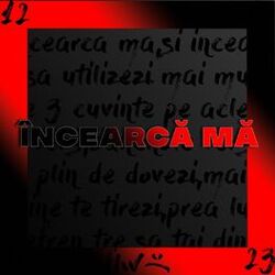 Cover of Încearcă mă