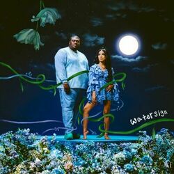 Cover of Water Sign
