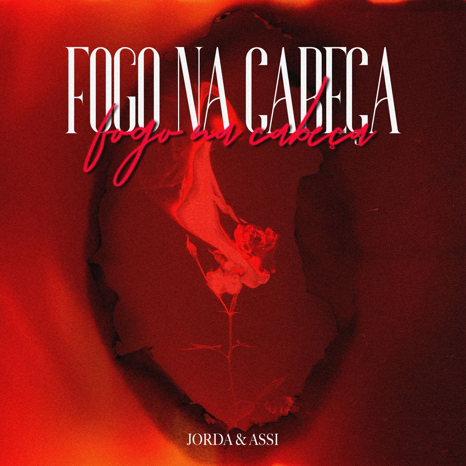 Album cover of Fogo Na Cabeça