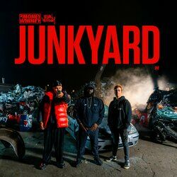 Cover of Junkyard