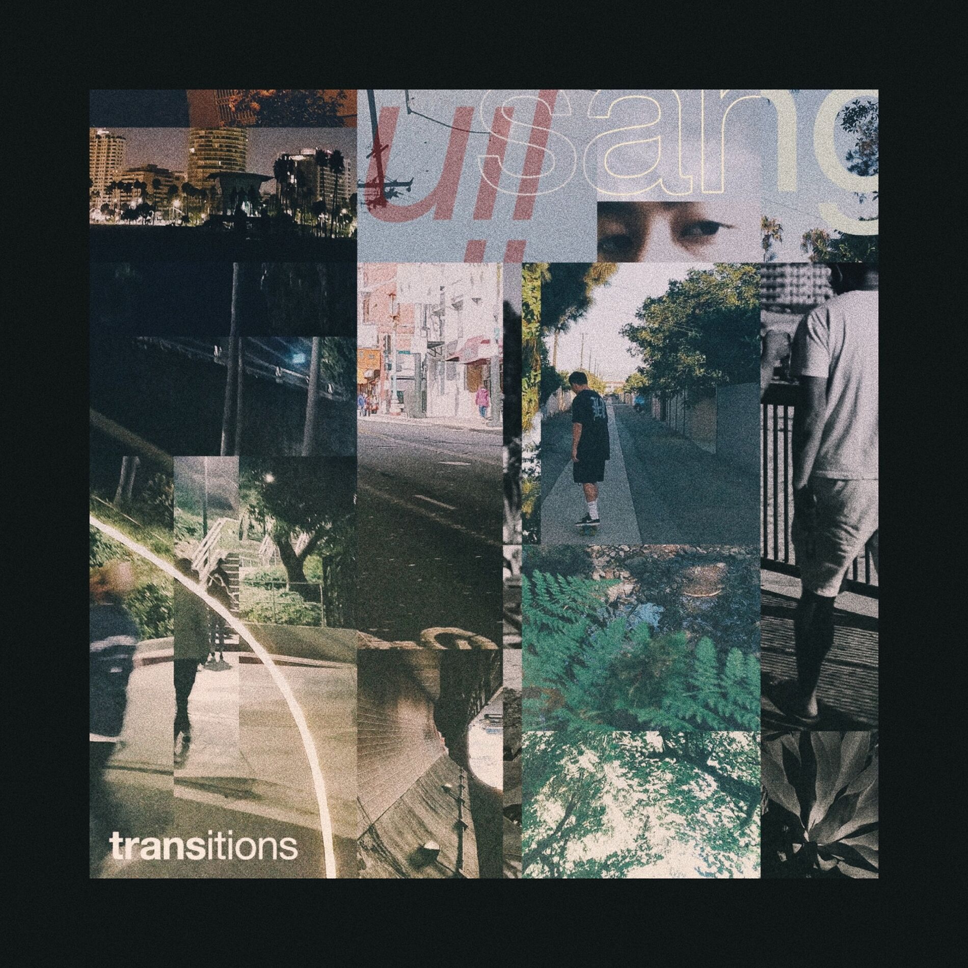 Album cover of Transitions