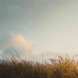 Cover of Canvas