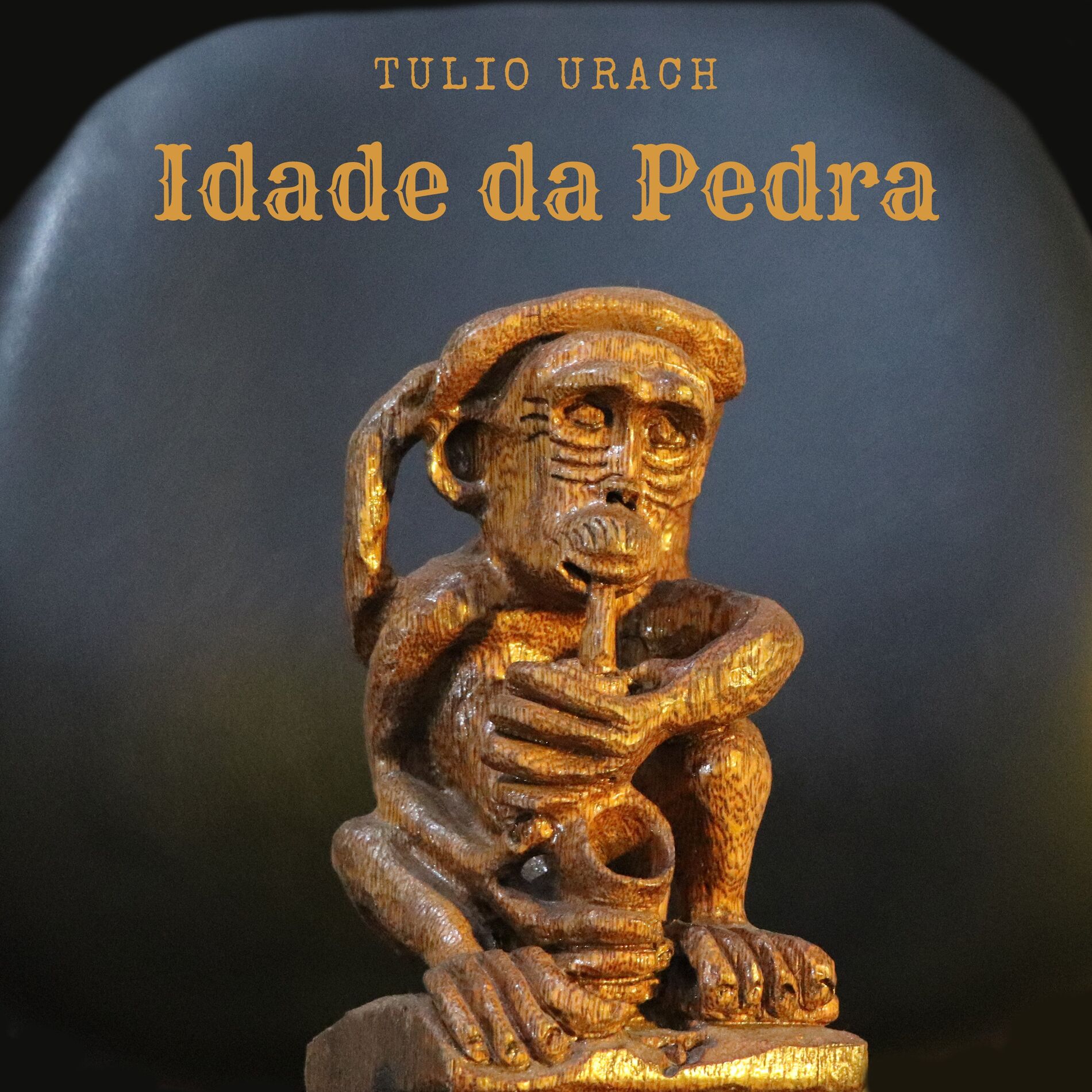 Album cover of Idade da Pedra