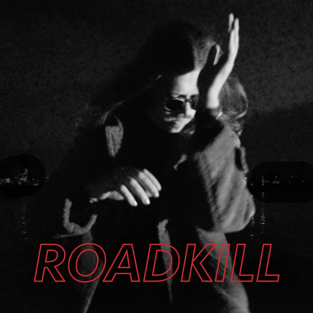 Picture of Roadkill