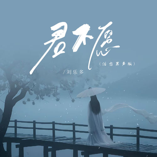君不愿 (治愈男声版)