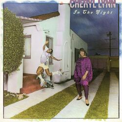 Cover of In The Night
