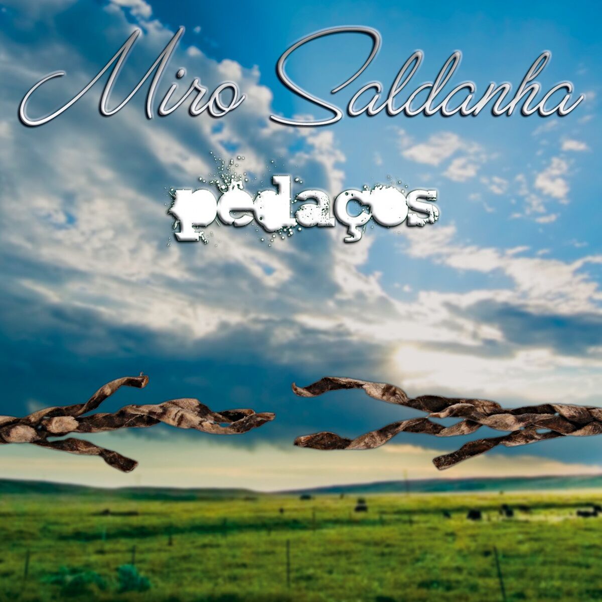 Album cover of A Vida É a Diferença
