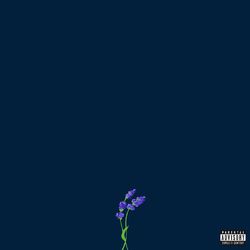 Cover of us