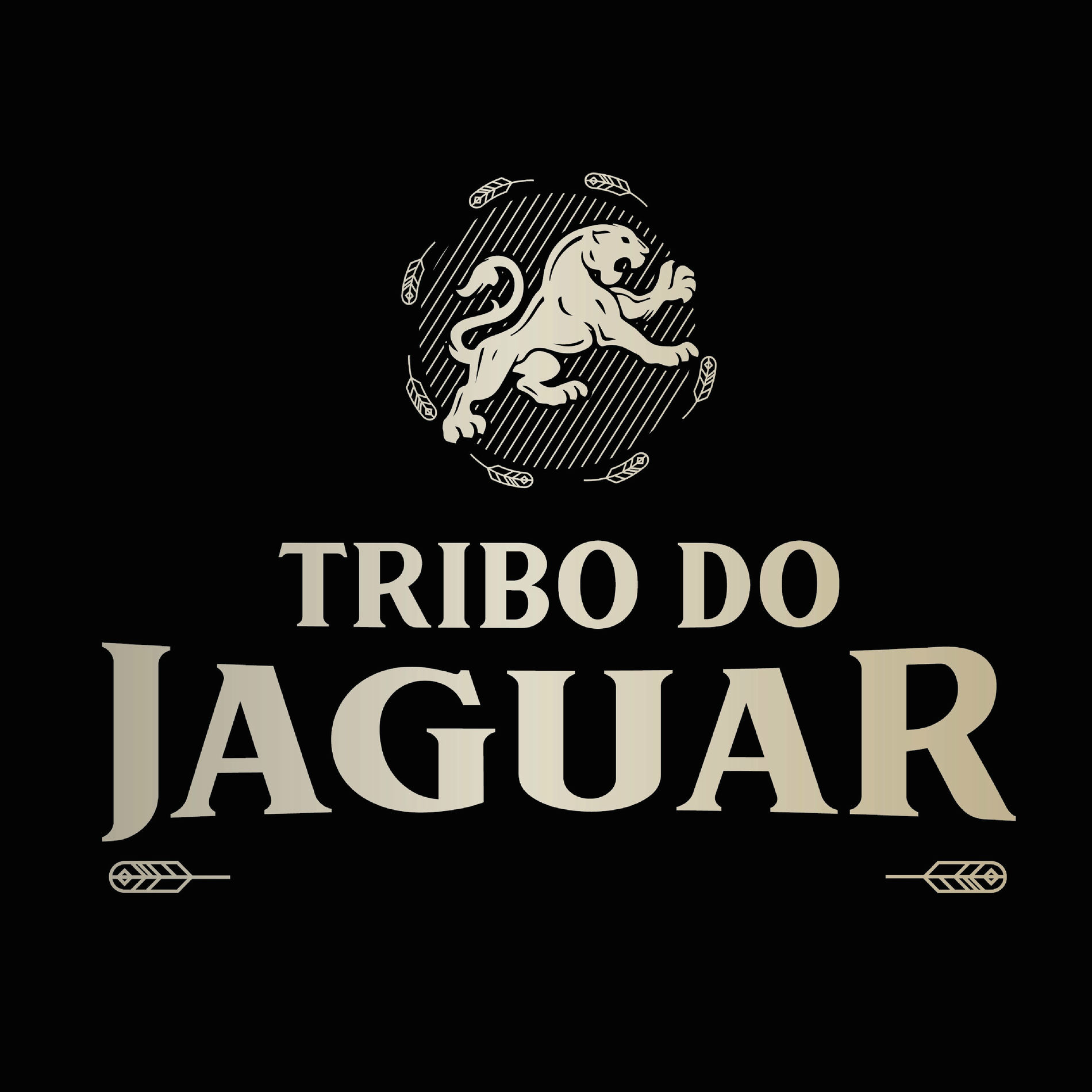 Album cover of Anjos
