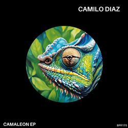 Cover of Camaleon