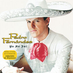 Cover of Yo No Fui